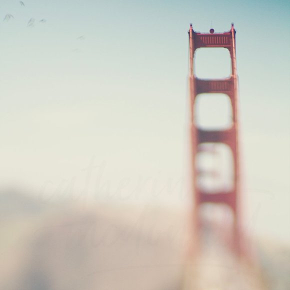 20 x 30 San Francisco Photography Print